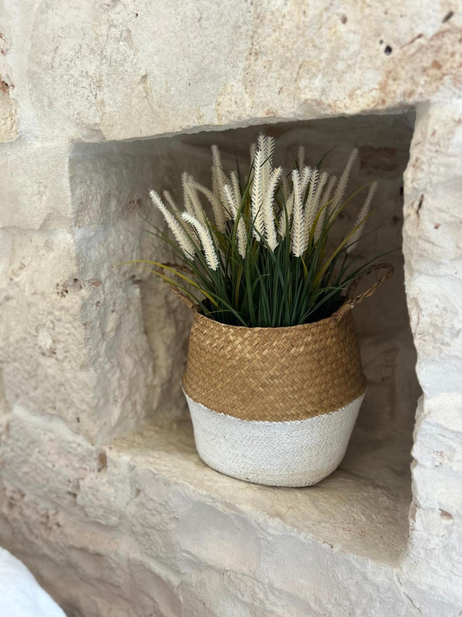 Trulli In Contrada - Monopoli Guest House Ngoại thất bức ảnh