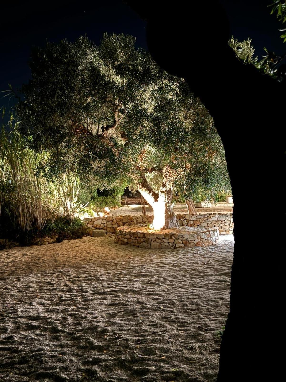Trulli In Contrada - Monopoli Guest House Ngoại thất bức ảnh